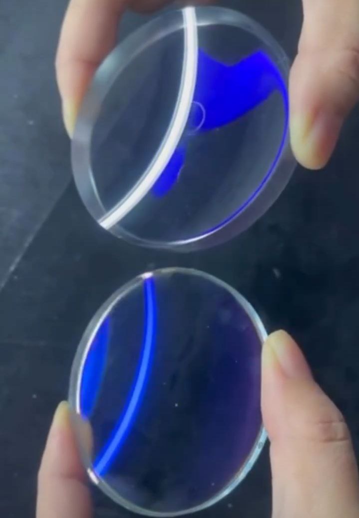 photo_5836912365914491892_y